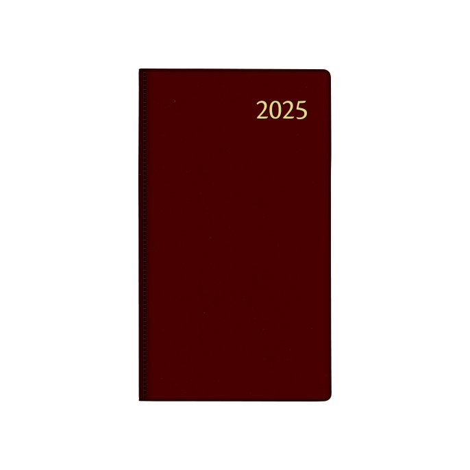 Agenda 2025 9x16 Visuplan 7d2p ass