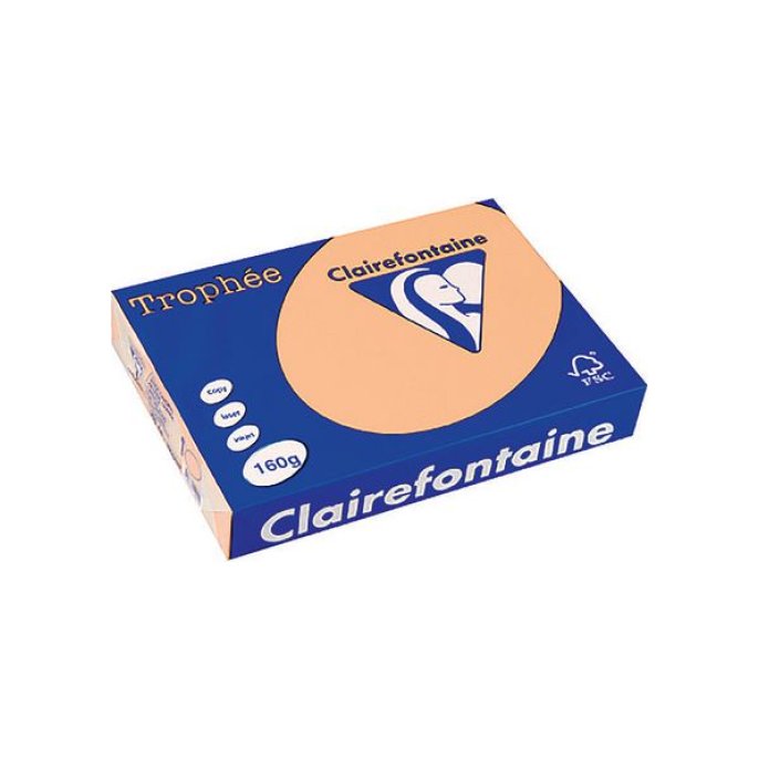 Clairefontaine A4 Papier 160 g/m² Zalmroze (pak 250 vel)