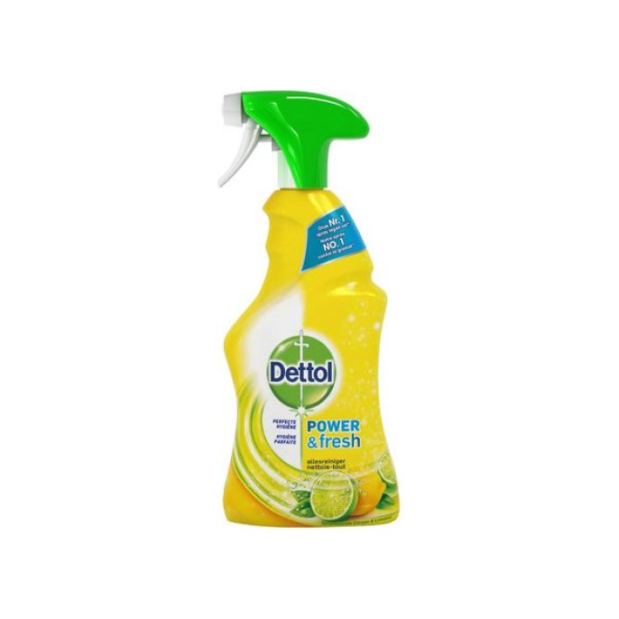 Dettol Power And Fresh Allesreiniger Spray (fles 500 milliliter)