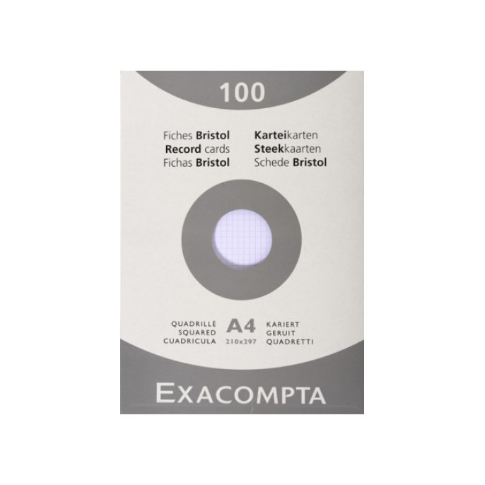 EXACOMPTA Systeemkaart A4 registratiekaart ruit wit (pak 100 vel)