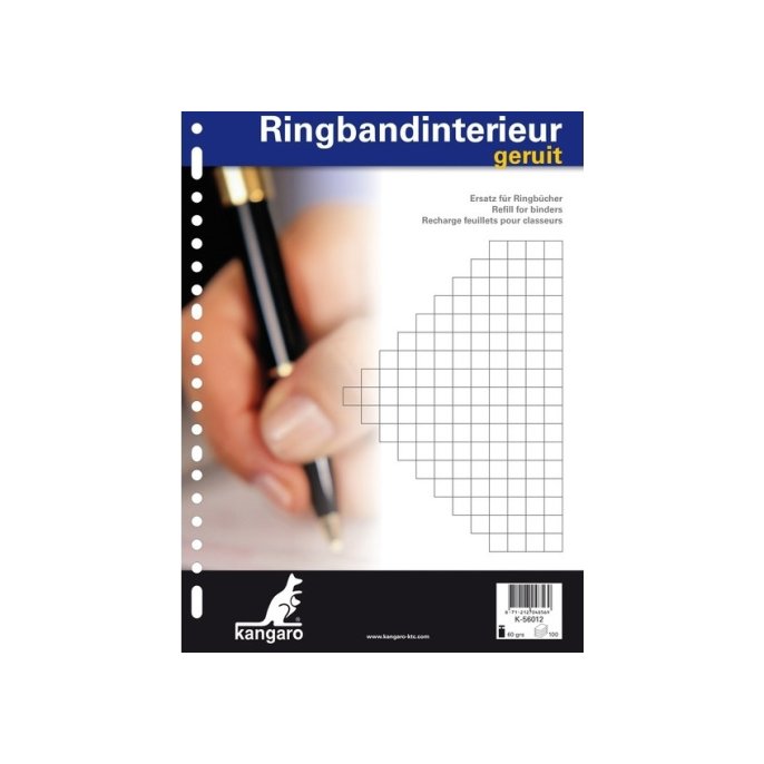 KANGARO A4 Interieurpapier 60 g/m² 23-gaats Geruit Wit (pak 100 vel)