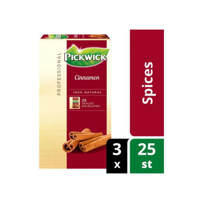 PICKWICK Professional Cinnamon Theezakjes 40 g (pak 75 stuks)