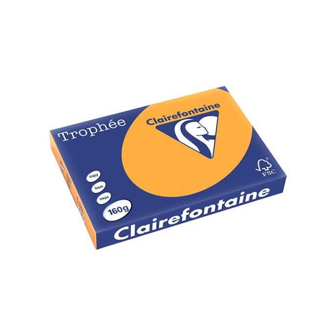 Papier Clairefontaine A3 160g or/pk250v