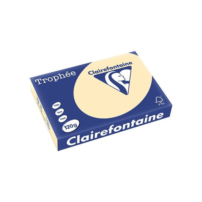 Papier Clairefontaine A4 160g gems/p250v