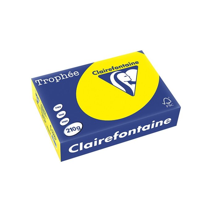 Papier Clairefontaine A4 210g zongl/p250