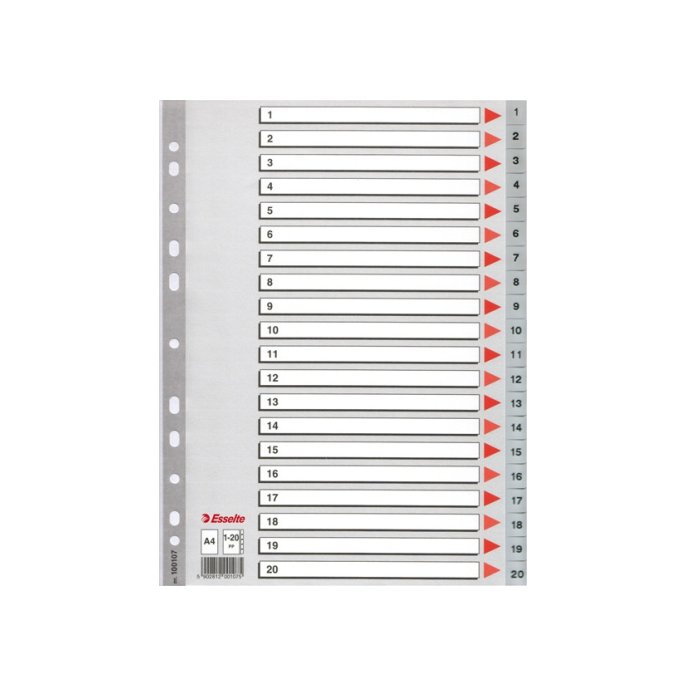 Tabblad ESSELTE 11r A4 PP 20tab index