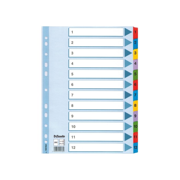 Tabblad ESSELTE 11r A4 karton 12 tab