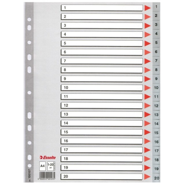 Tabblad Esselte 11r A4 PP 20tab index