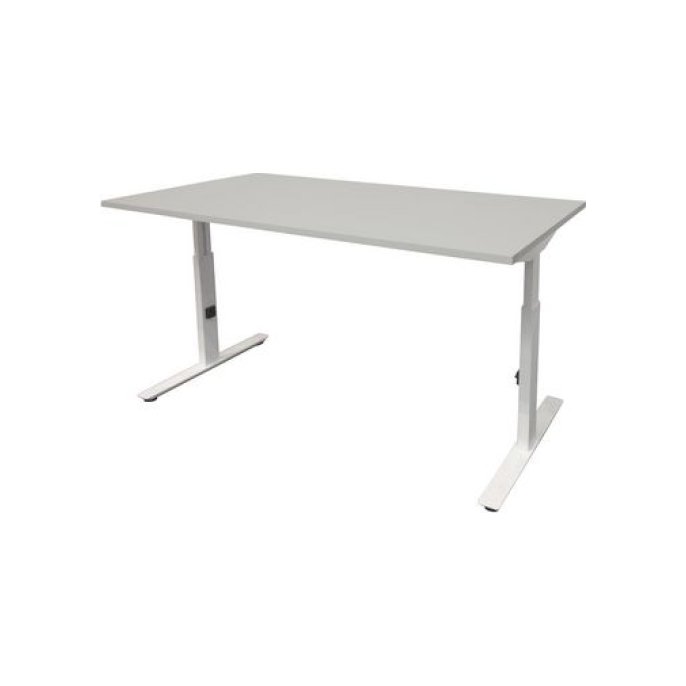 Linesto Plus Verstelbaar Bureau 120 x 80 cm Lichtgrijs Wit